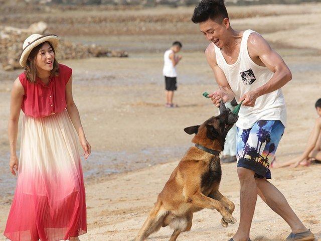 《警犬巴打》講述黎溢湫透過警犬拍檔巴打,與獸醫馬志昊牽起紅線的故事。(圖片來源:官方劇照 )