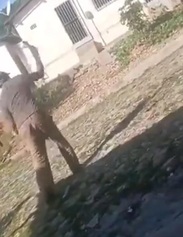 老翁抓著小貓尾巴,無視小貓掙扎,殘忍地把牠擲落地面。(X)