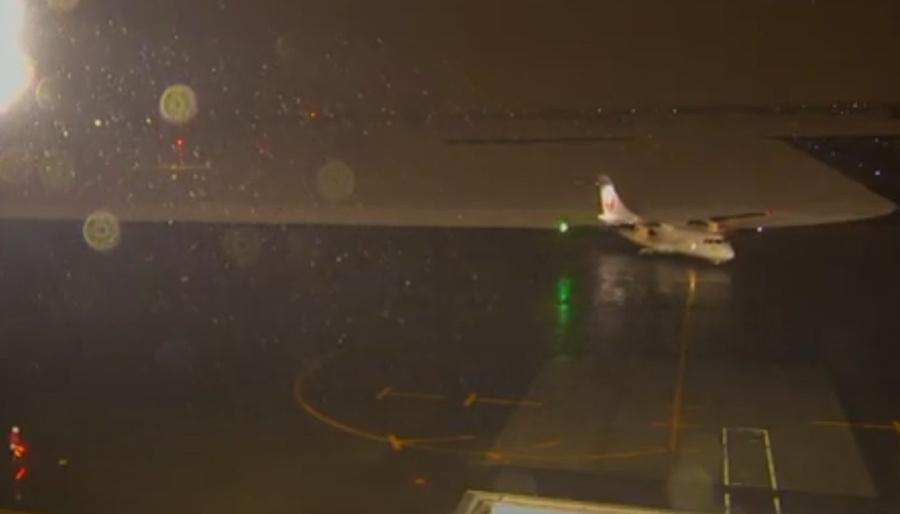 期間撞到一隻狐狸,大約5分鐘後,飛機返回停機坪。(YouTube)