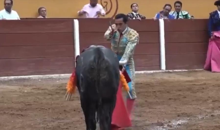 當時公牛滿身鮮血,Macías手舉長劍要給牠最後一擊。(X)