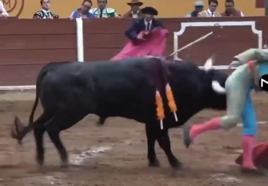 Macías剛巧背向著牠,就被牛角頂起,正正刺中他的肛門,並不斷地跳動。(X)