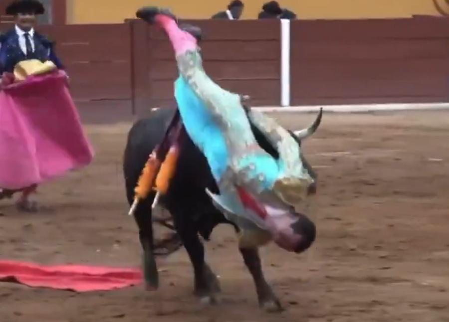 Macías剛巧背向著牠,就被牛角頂起,正正刺中他的肛門,並不斷地跳動。(X)