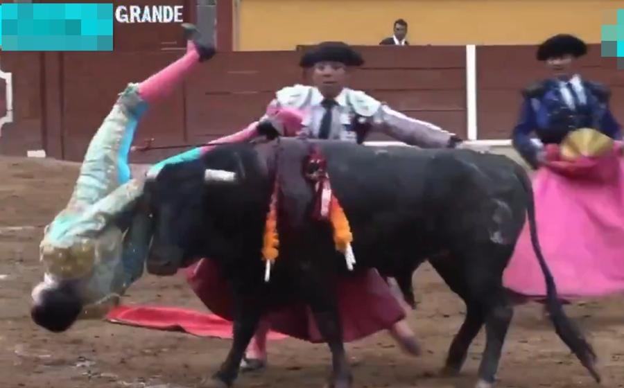 工作人員見到這個情況,急忙衝上來想要控制公牛。(X)