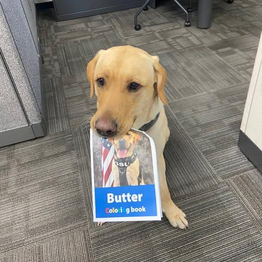 警局內的情緒輔導犬「Butter」。(FB)