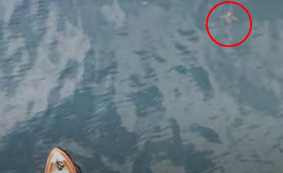 所以攝影機拍到鯊魚背上有八爪魚的畫面大約只有10分鐘,團隊使追不上鯊魚。(YouTube)