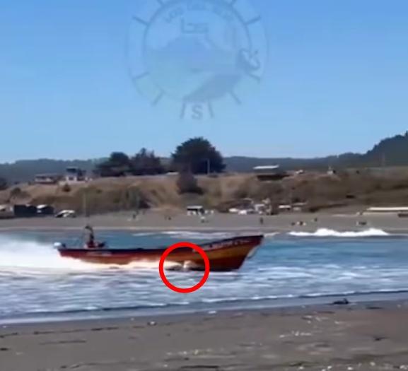 惟船長似乎未有留意在淺水區的Ortiz,Ortiz因此被快艇直撞。(IG)