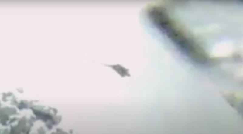 由居民提供給動物園的CCTV影片顯示,牠們走到街上,在雪地上四出探索。(X)