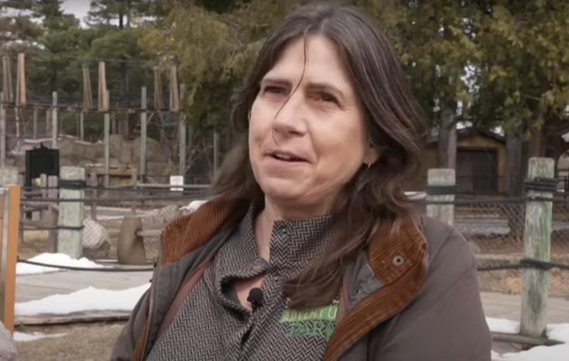 園方設陷阱和美食冀將水獺「誘回家」。(YouTube)