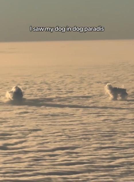 雲朵看起來就如狗狗在雲層上快樂玩球的模樣。(IG)