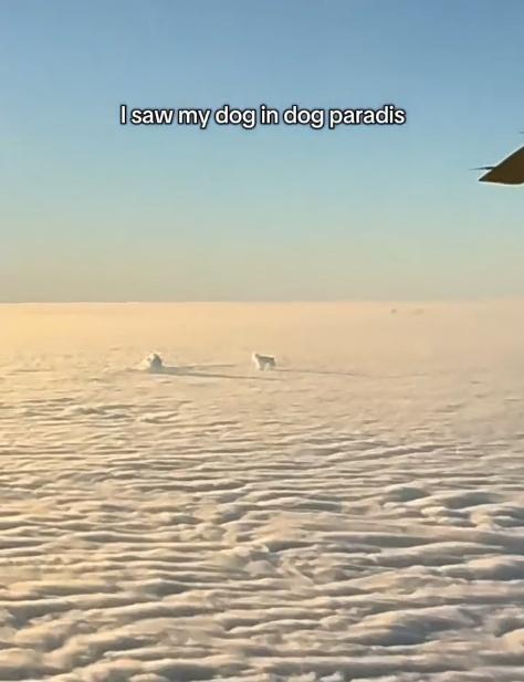 這段僅僅10秒鐘的影片吸引超過800萬次點閱,畫面觸動大批網民。(IG)