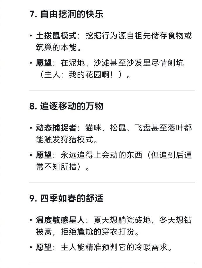 DeepSeek列「狗狗願望清單」。(微博)