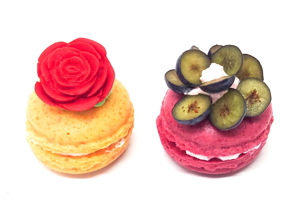 LIFETASTIC免費寵物蛋糕