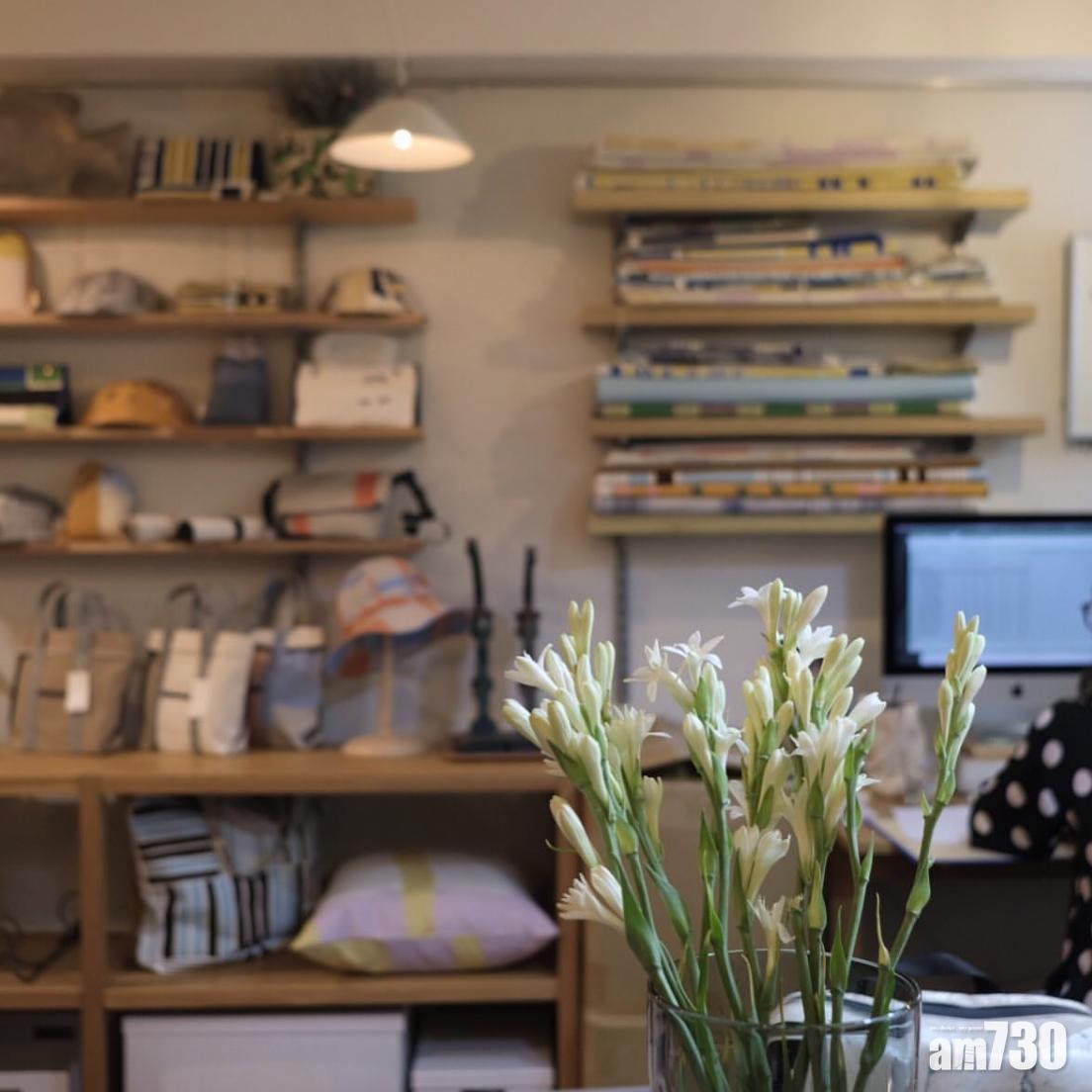 防蚊植物:夜來香可以放在室內種植。