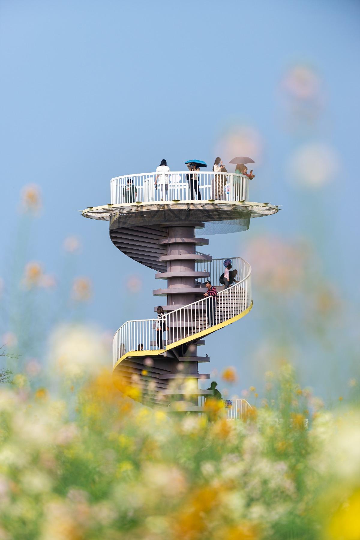 東涌鎮官坦農業公園設有一道瞭望塔,被稱「少女塔」,有旋轉型樓梯,能飽覽整片花田。(圖片來源:視覺中國)