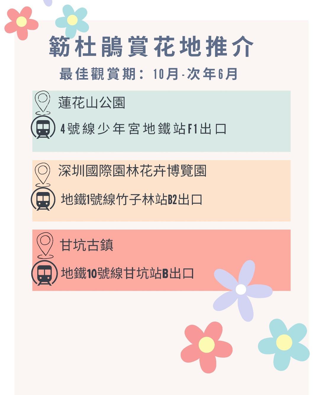 (當代中國製圖)