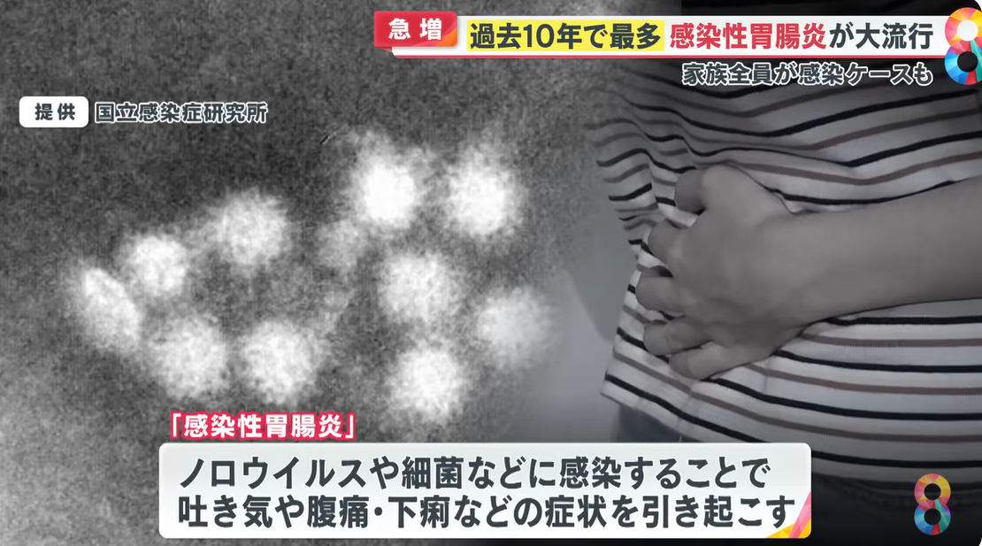 日本感染性腸胃炎