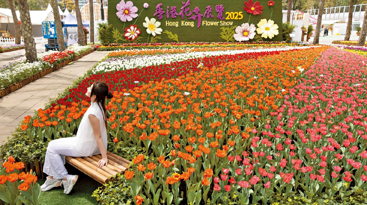 2025年香港花卉展覽