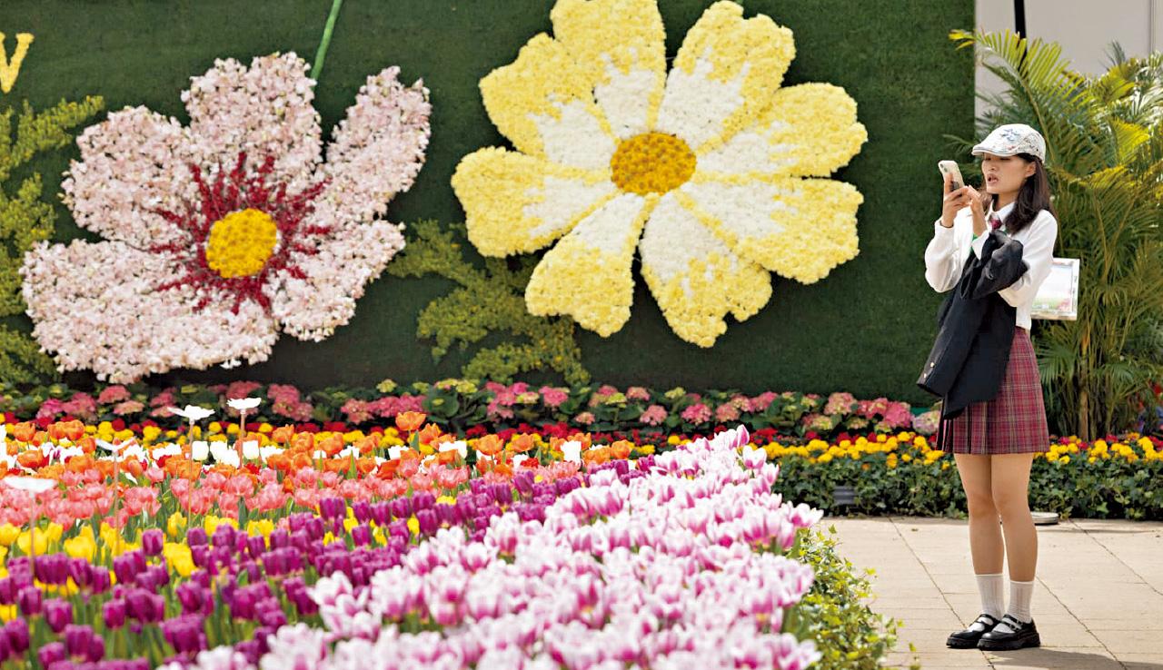 2025年香港花卉展覽