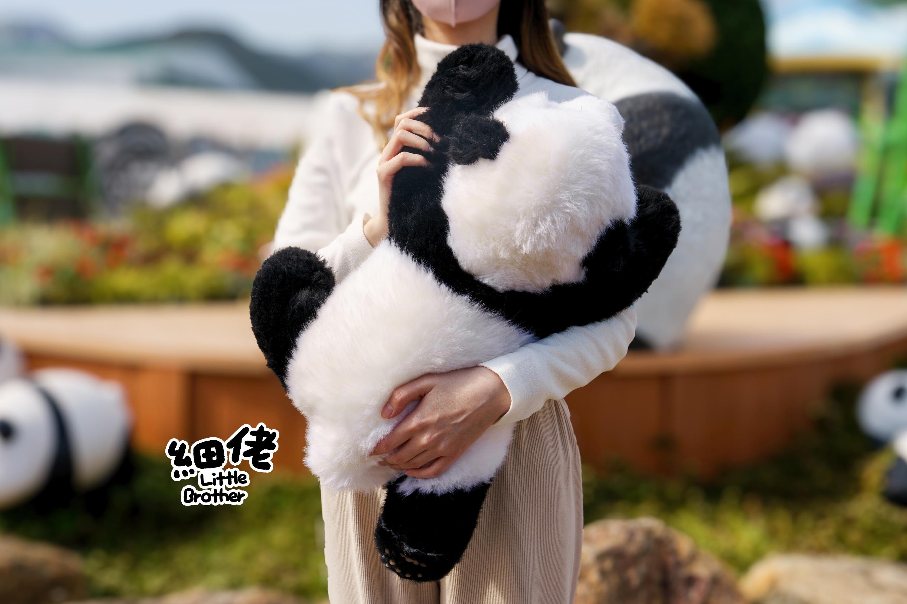 三個月仿真大熊貓寶寶毛公仔