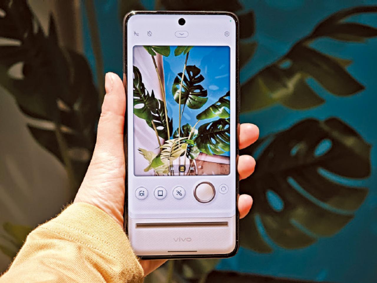 vivo V50_5G
