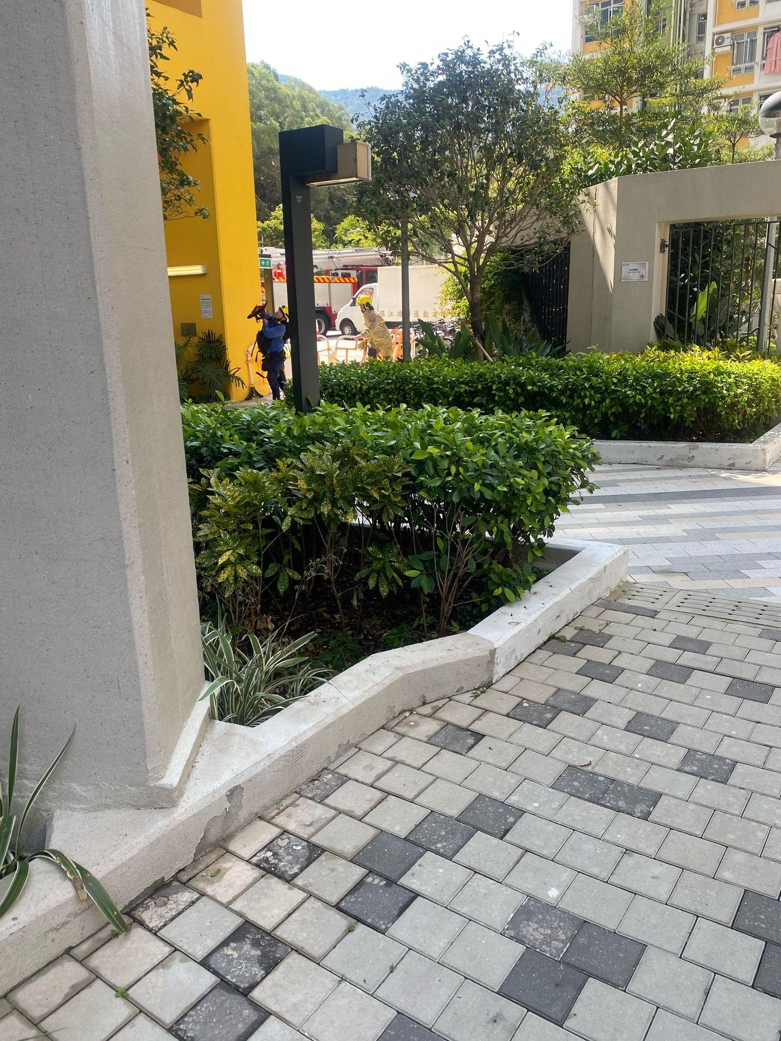 粉嶺皇后山邨皇樂樓一低層單位,兩名年幼男童爬出窗外,分別危坐大廈外牆及冷氣機窗台,消防及警方趕至破門營救。(皇后山乜都友 fb)