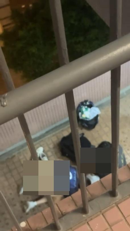 一個屋苑上演「活春宮」事件。(網上影片截圖)