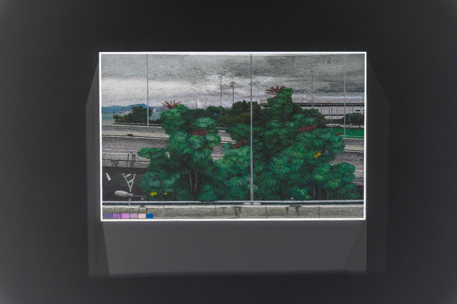 楊東龍油畫《鴨腳⽊ 原⽣地:澳洲》。