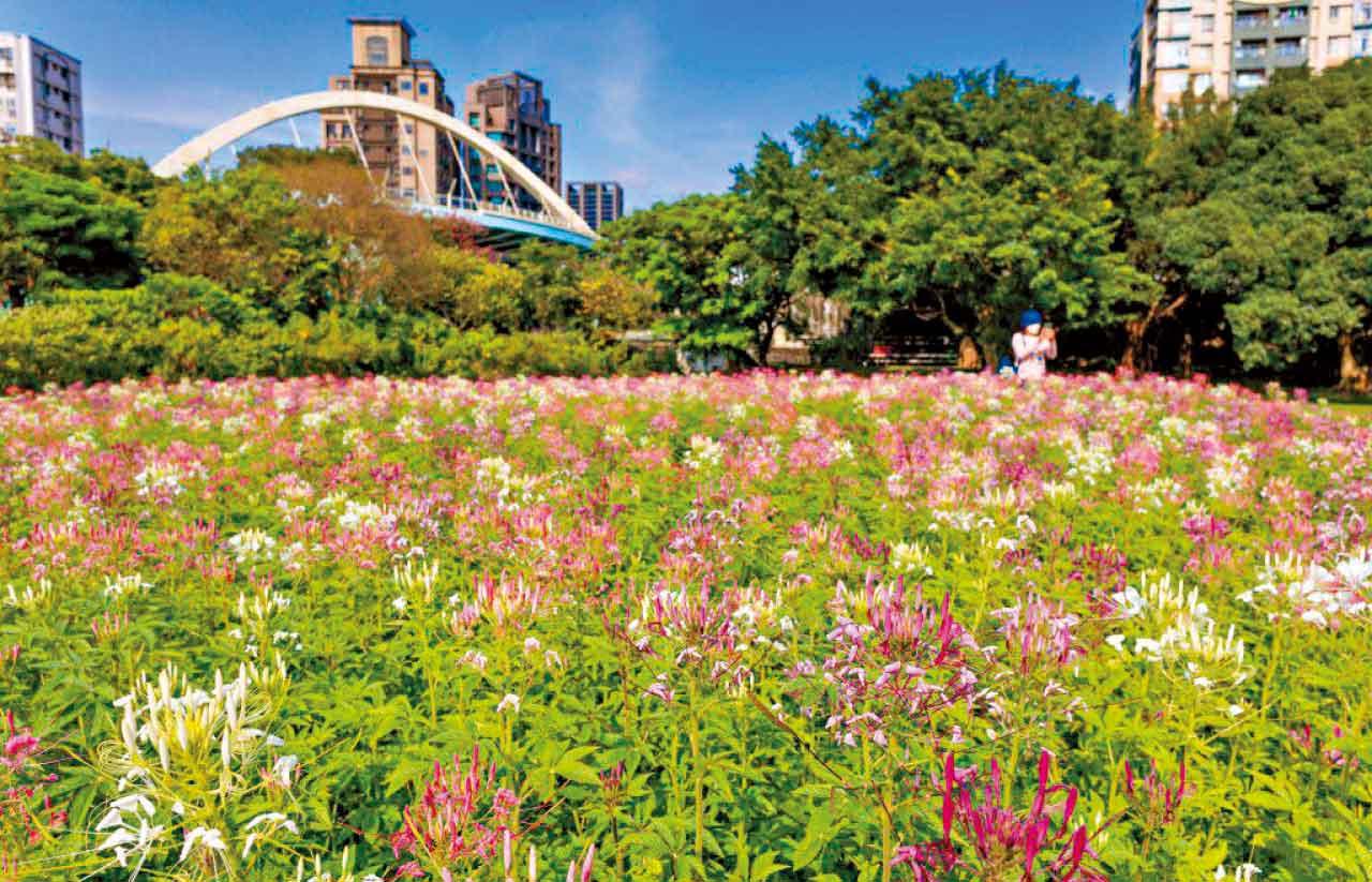台北古亭河濱花園