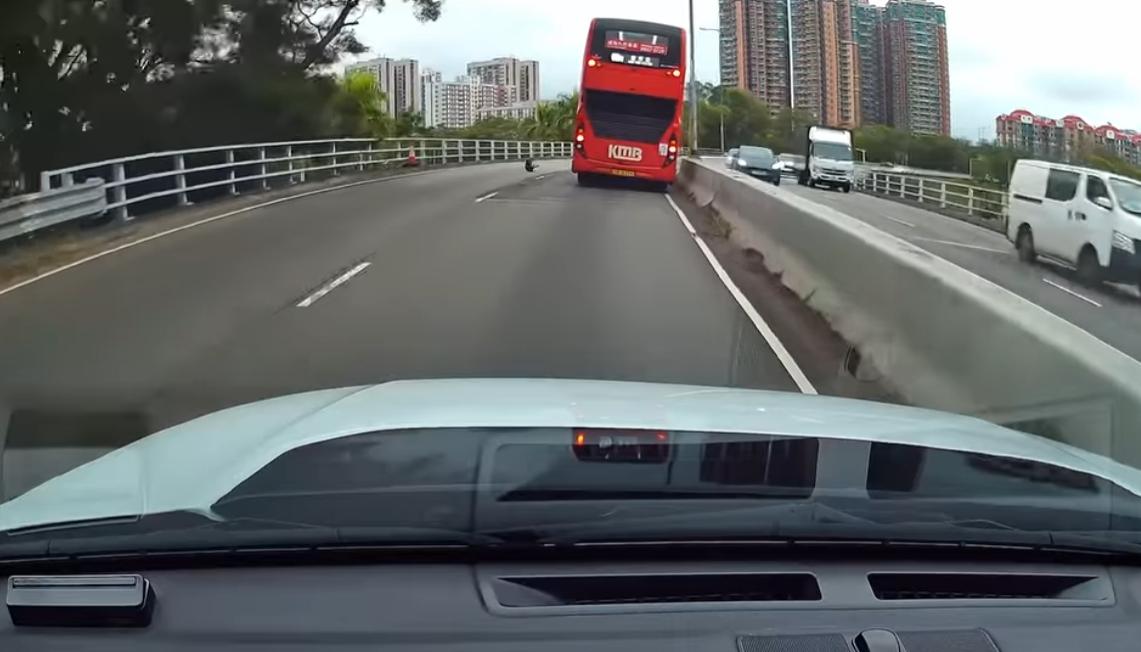 元朗發生狗狗被撞意外。(fb「車cam L(香港群組)」截圖)