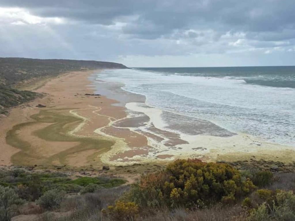 澳洲海灘現神秘泡沫