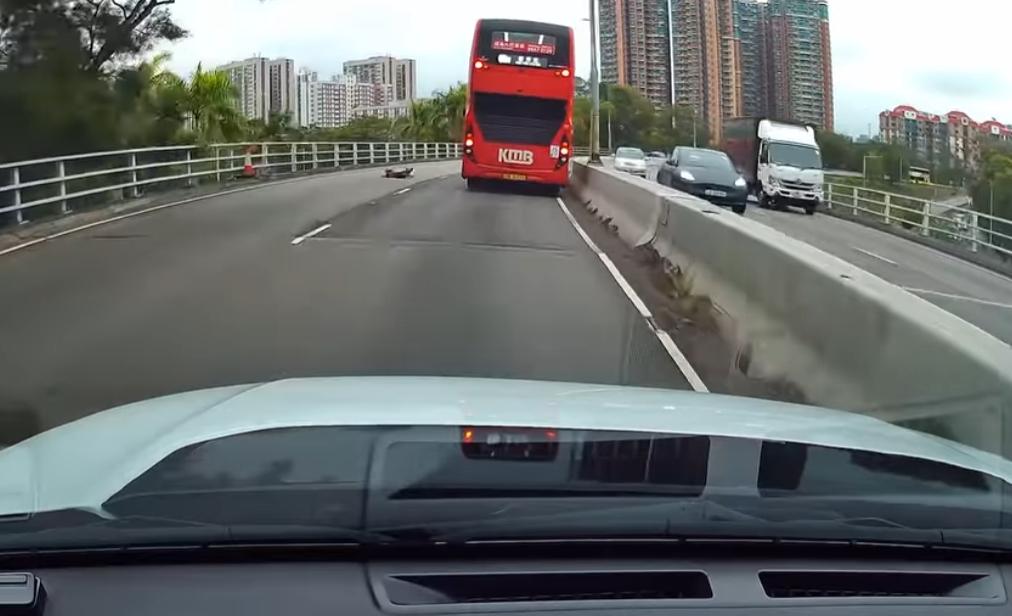 元朗發生狗狗被撞意外。(fb「車cam L(香港群組)」截圖)