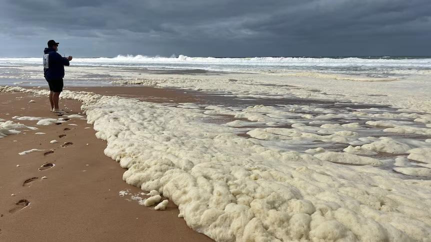 澳洲海灘現神秘泡沫