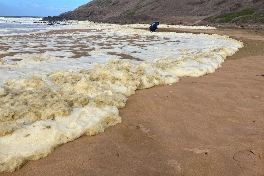 澳洲海灘現神秘泡沫
