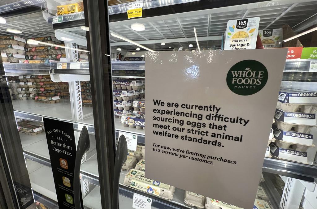 邁阿密一間超市上周四在貨架貼出告示,說明採購雞蛋出現困難。(資料圖片)