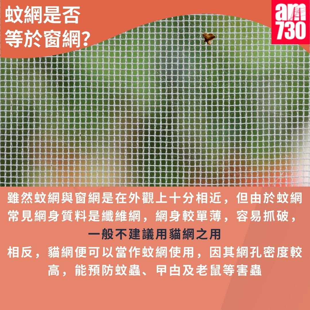 貓網種類|蚊網是否等於窗網?(am730製圖)