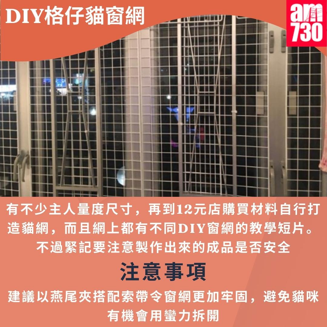 貓網種類|DIY 12元格仔貓窗網(am730製圖)