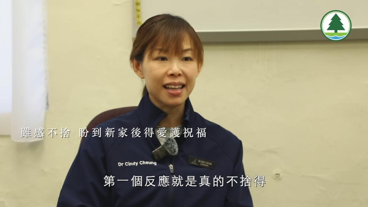 漁護署獸醫張敏欣不捨「Miu Miu」。(fb「漁農自然護理署」截圖)