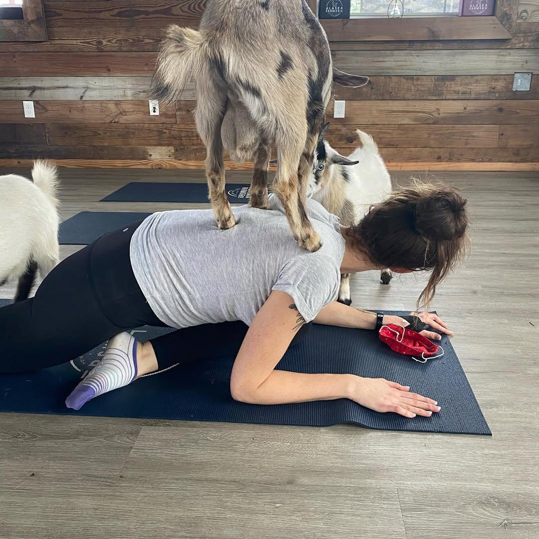 美國女教師Katie Donnell熱愛健身,卻突發心臟病去世。