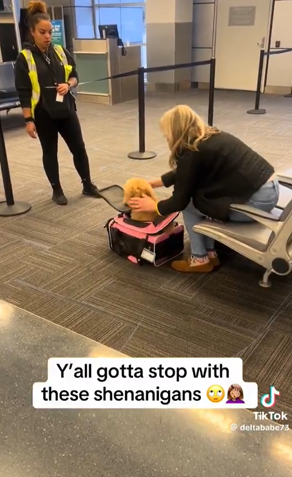 女子為登機「摺疊」寵物狗塞入袋。(互聯網)