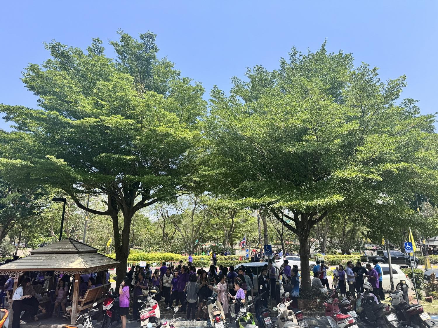 地震影響到鄰國泰國的居民都走出街上暫避。(X)