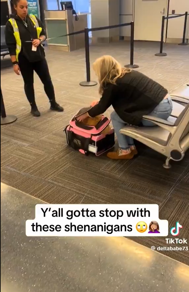 女子為登機「摺疊」寵物狗塞入袋