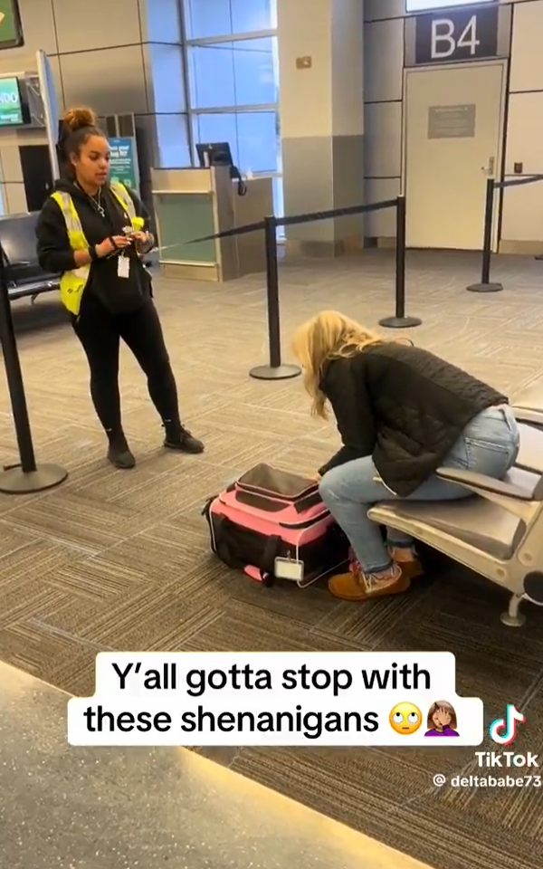 女子為登機「摺疊」寵物狗塞入袋