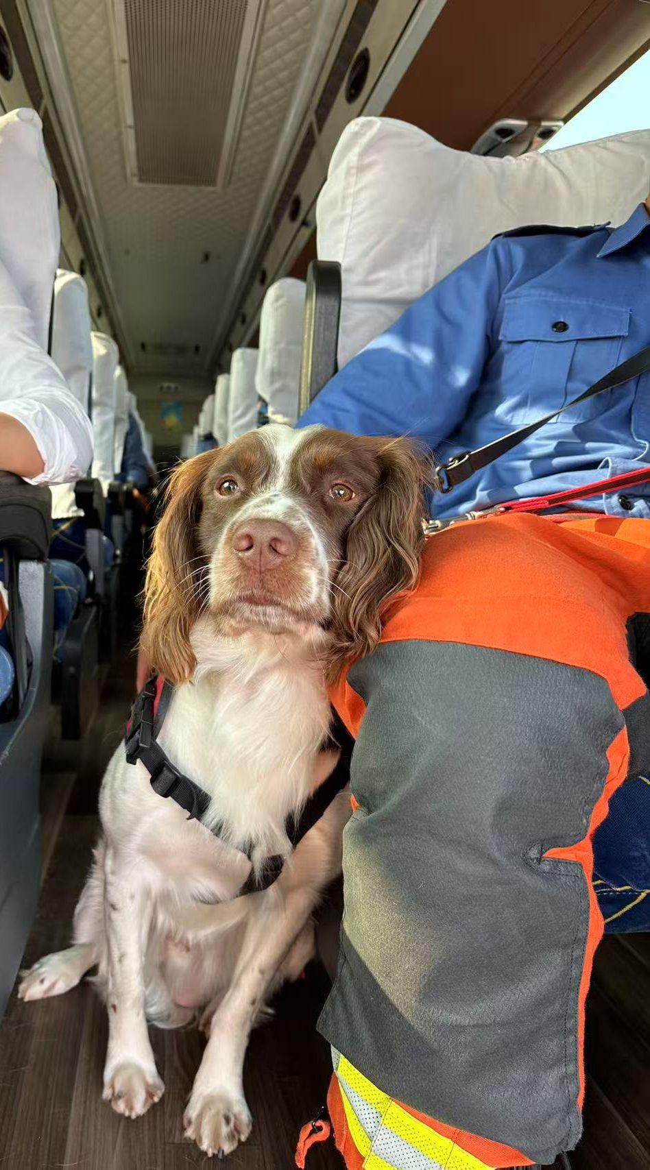 香港特別行政區救援隊在緬甸地震災區。(照片由香港消防處提供)