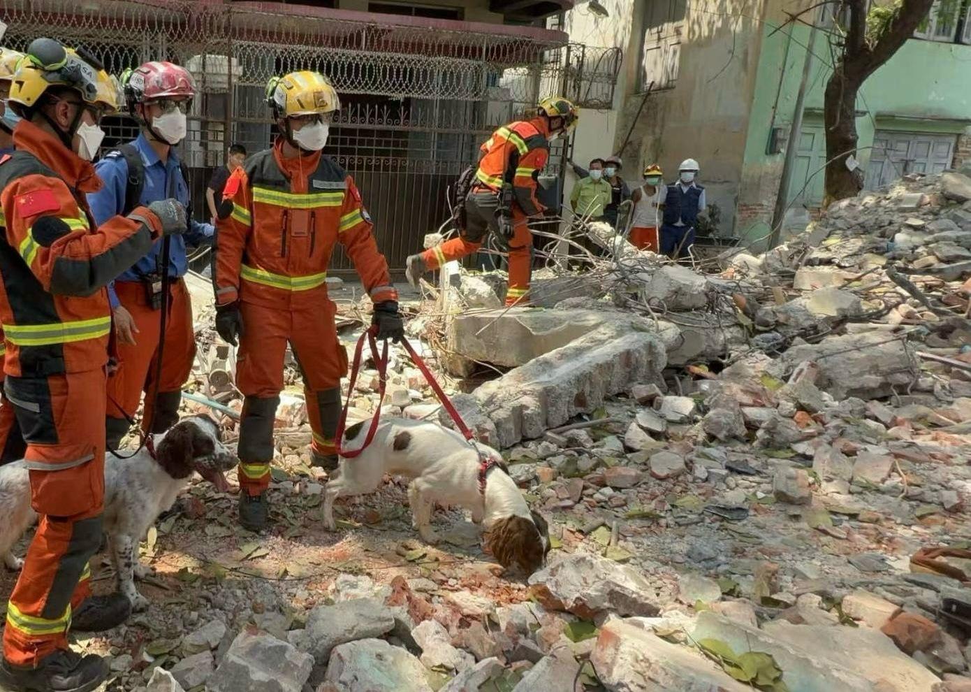 救援隊進行搜索工作。(消防處)