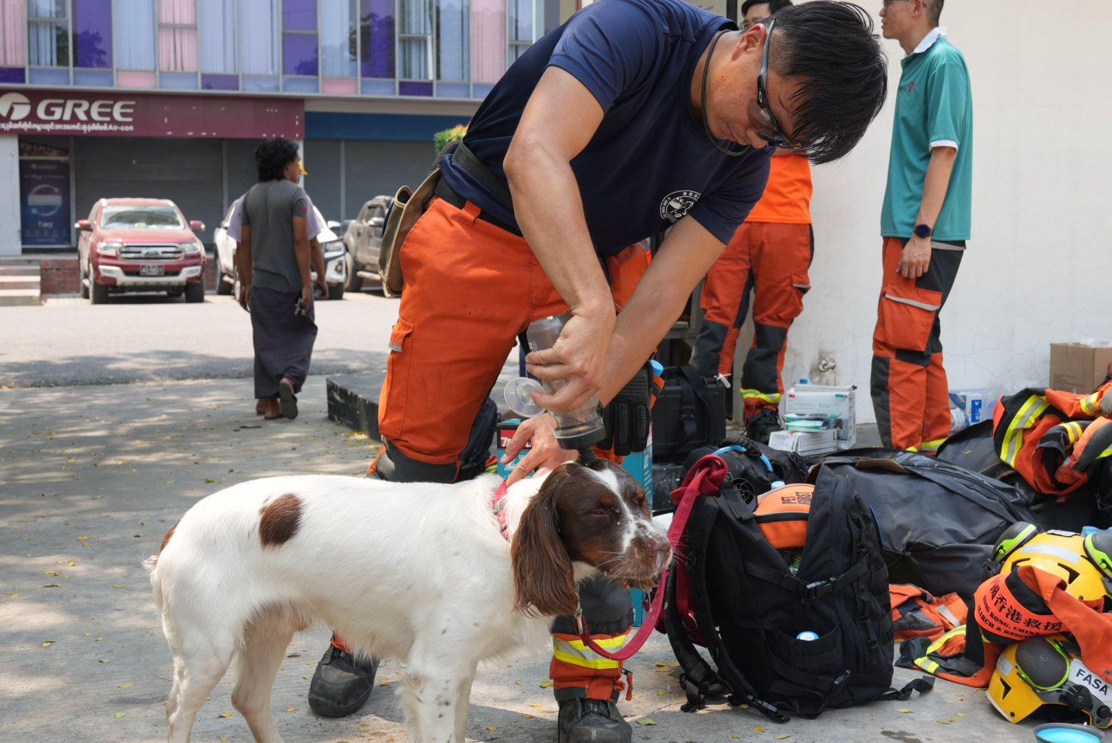 救援隊進行搜索工作。(消防處)