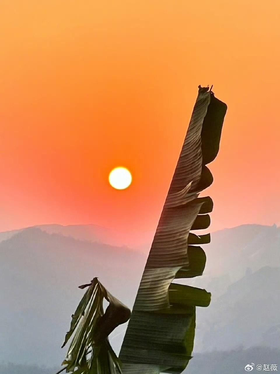 趙薇生日更分享了兩張風景相。