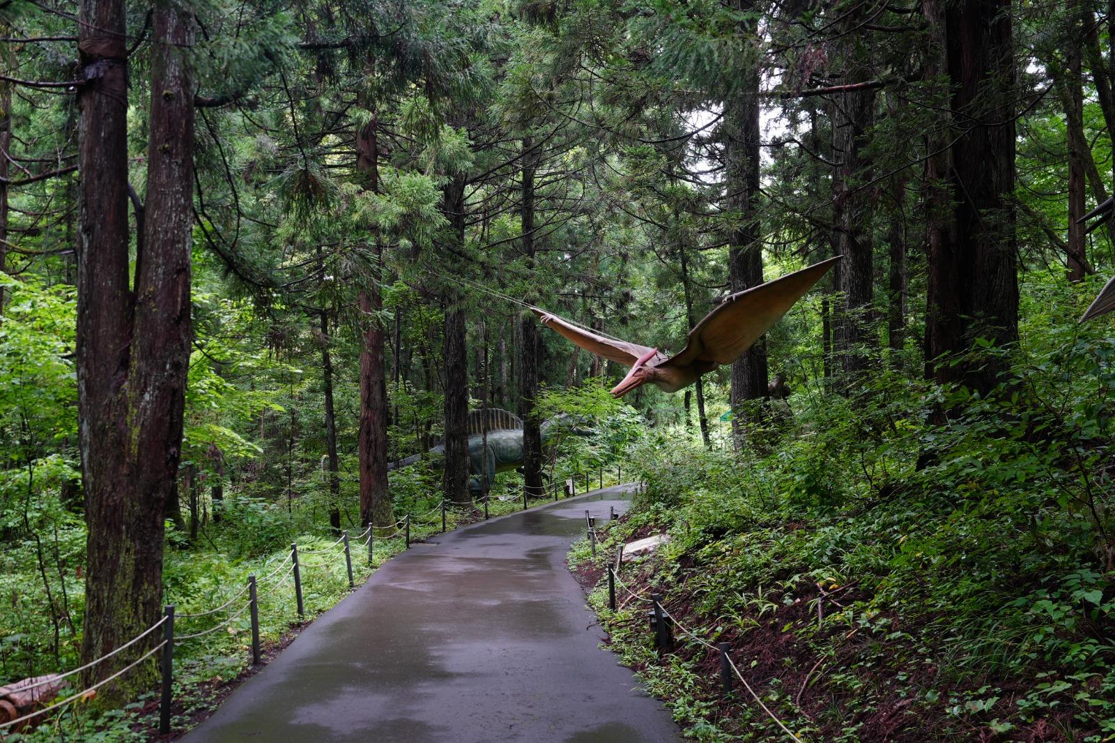 佔地廣闊的福井縣勝山恐龍森林有如現實版侏羅紀公園。