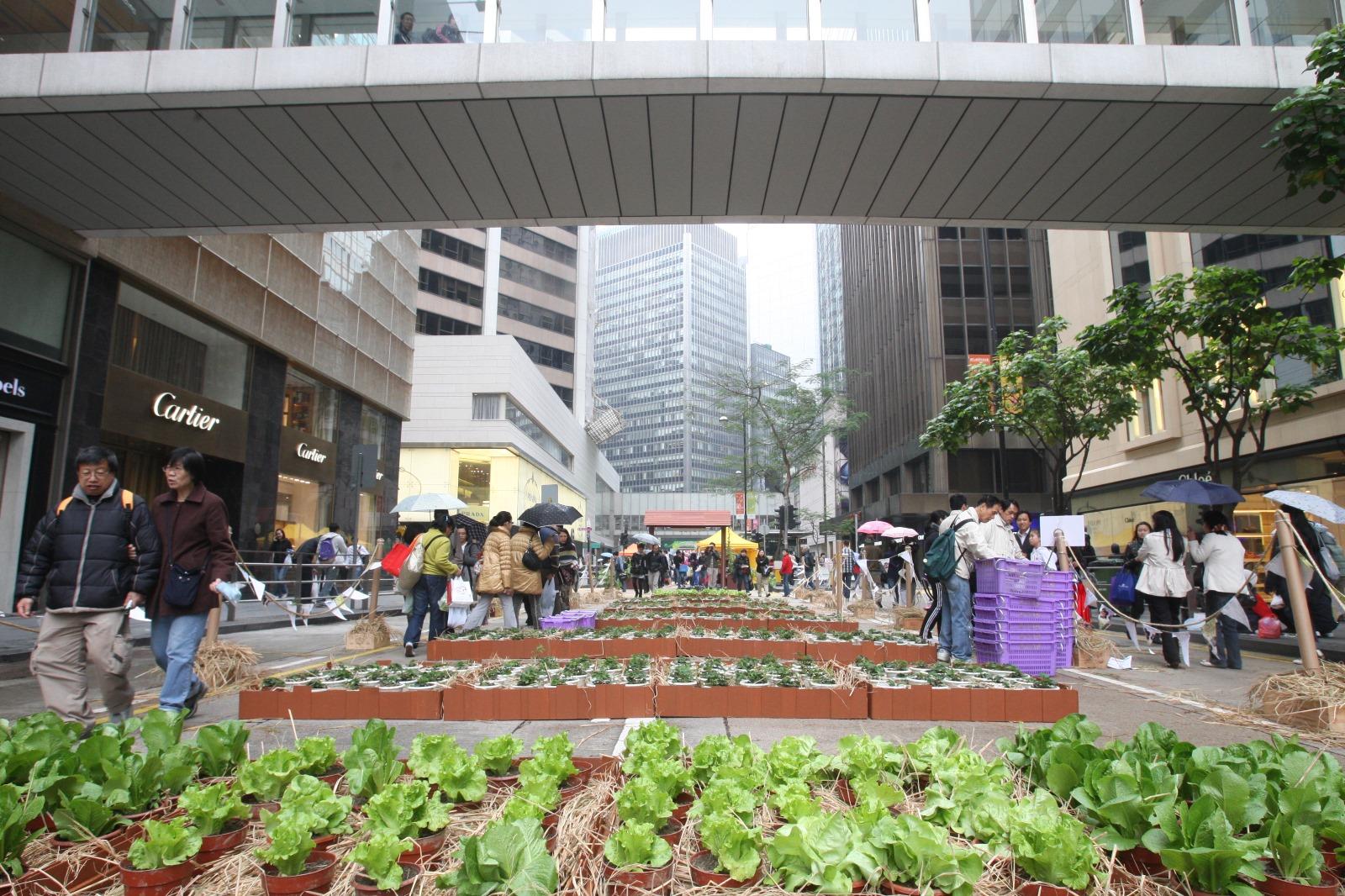 全城有機日將農田搬到中環