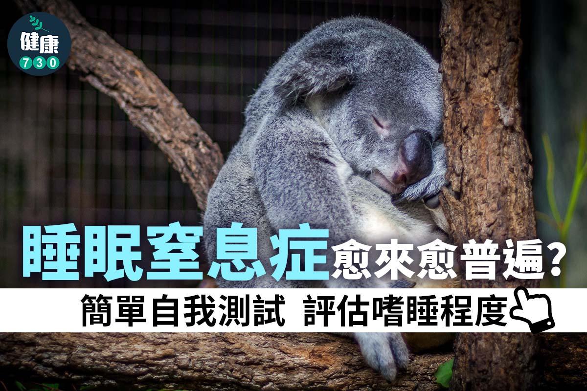 睡眠窒息症測試|評估嗜睡程度(am730製圖)