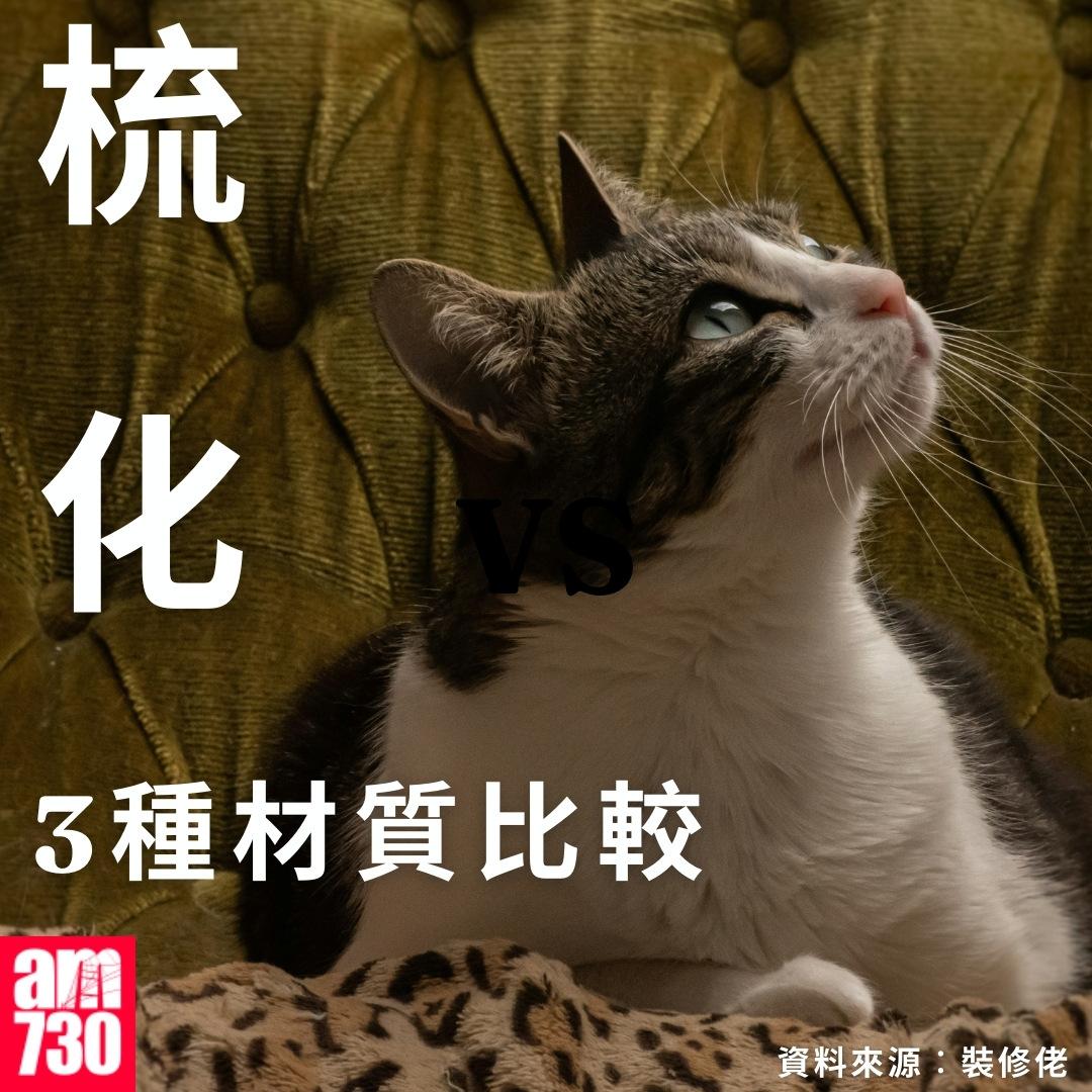 布梳化/真皮梳化/科技布梳化優缺點比較|(資料來源︰裝修佬)